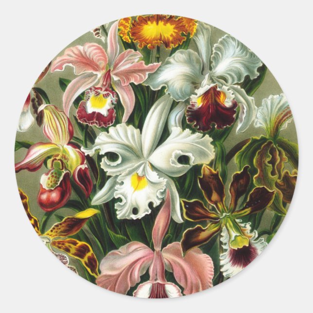 Pegatina Redonda Orchidae (Anverso)