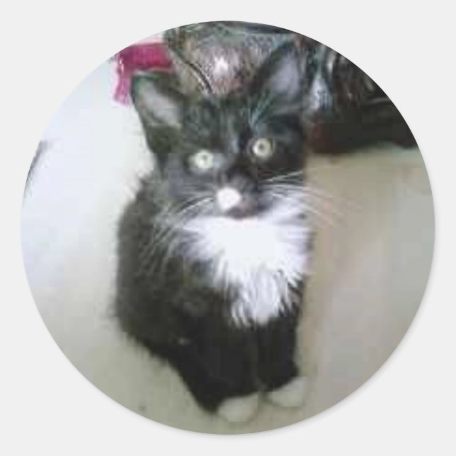 PEGATINA REDONDA "OREO" (Anverso)