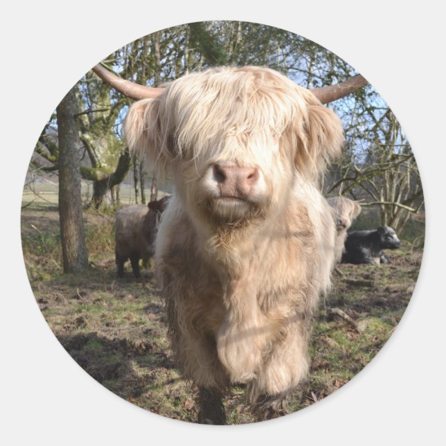 Pegatina Redonda Orgulloso de ser escocés (Anverso)