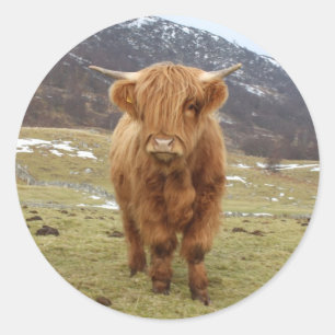 Pegatina Redonda ¡Orgulloso de ser escocés!