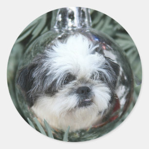 Pegatina Redonda Ornamento de Navidad Shih Tzu