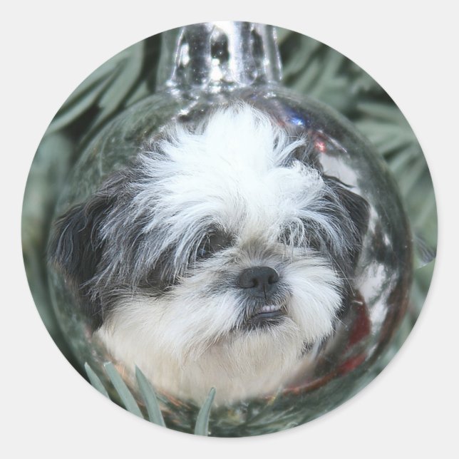 Pegatina Redonda Ornamento de Navidad Shih Tzu (Anverso)