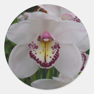 Pegatina Redonda Orquídea Blanca II Elegante Floral