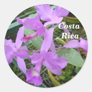 Pegatina Redonda Orquídea - Flor Nacional de Costa Rica