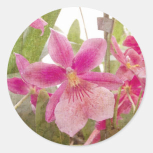 Pegatina Redonda Orquídea rosa