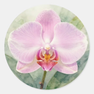 Pegatina Redonda Orquídea Rosa Elegante Botánica Floral Acuarela
