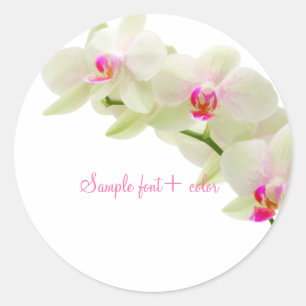 Pegatina Redonda Orquídea rosa PixDezine maui