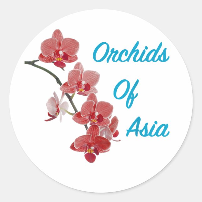 Pegatina Redonda Orquídeas de Asia Spa de Día (Anverso)