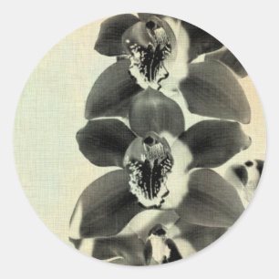 Pegatina Redonda Orquídeas Rubor Paneles IV