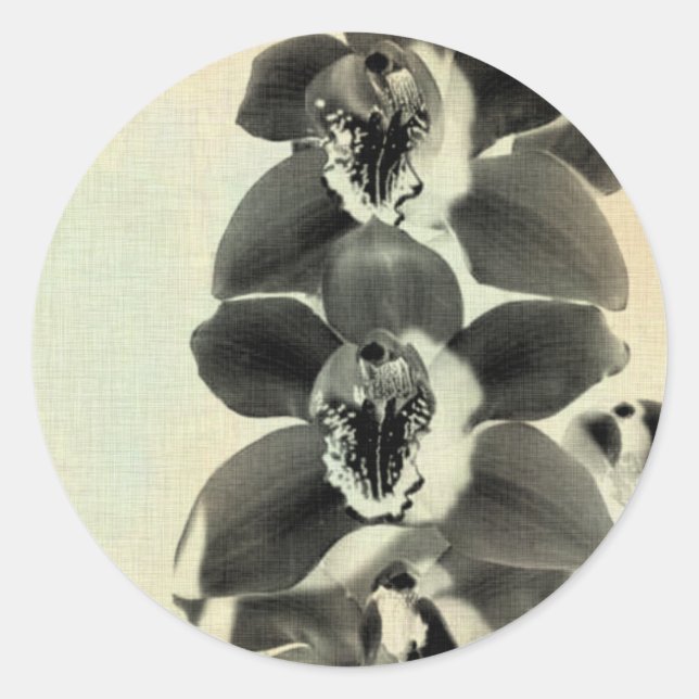 Pegatina Redonda Orquídeas Rubor Paneles IV (Anverso)
