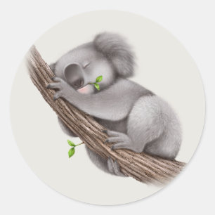 Pegatina Redonda Oso de koala soñoliento lindo