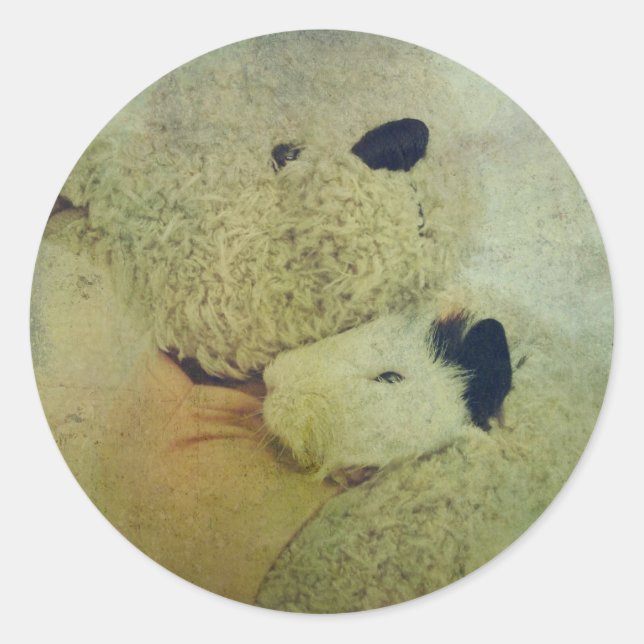 Pegatina Redonda Oso De Teddy Abraza Un Cerdo De Guinea (Anverso)