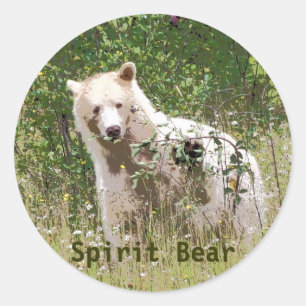Pegatina Redonda Oso Espiritual Rara Kermode, Arte de Vida Silvestr