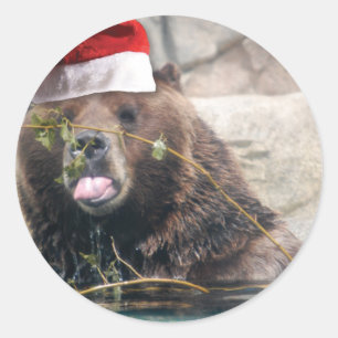 Pegatina Redonda Oso Grizzley en un sombrero de Santa