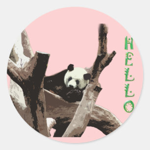Pegatina Redonda Oso panda gigante en una fotografía de zoológico d