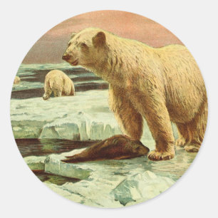Pegatina Redonda osos polares sobre glaciares Dibujo artístico de l