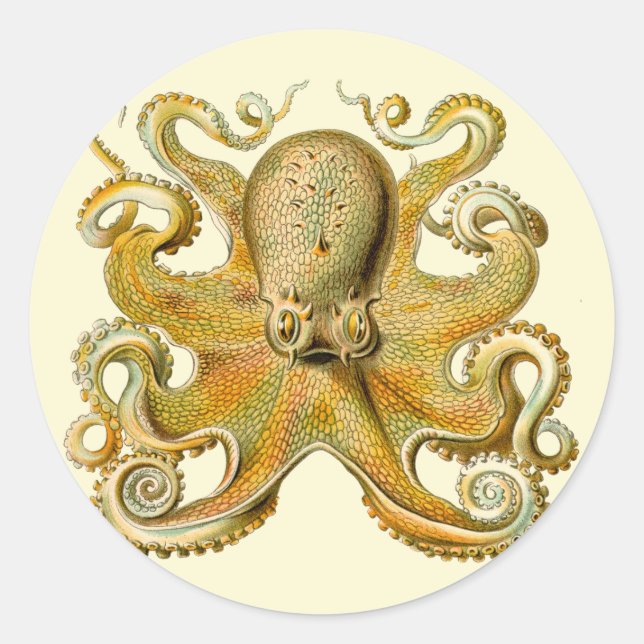 Pegatina Redonda Otopus ilustracion antiguo monstruo del mar (Anverso)