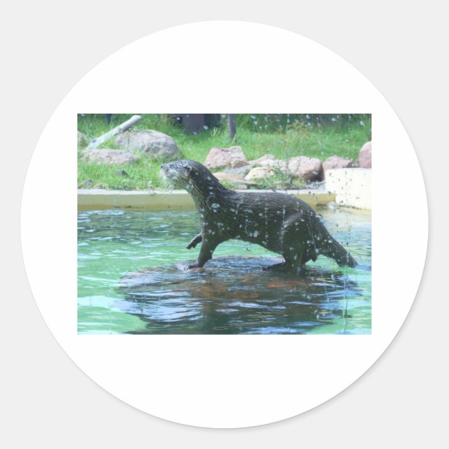 Pegatina Redonda Otter (Anverso)