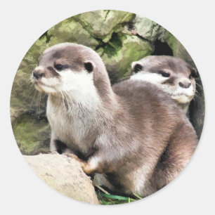 PEGATINA REDONDA OTTERS