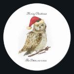 Pegatina Redonda Owl Christmas Stickers personalizado<br><div class="desc">Este chico lindo se ve muy Navidades listos con su sombrero de Santa gorra. Haría una agradable adición a tus regalos y paquetes de Navidades,  sólo personalizaría con tus propios detalles</div>