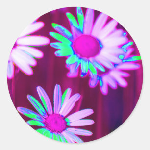Pegatina Redonda Oxeye Daisy Meadow Pop Art Style