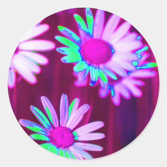Pegatina Redonda Oxeye Daisy Meadow Pop Art Style (Anverso)
