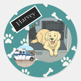Pegatina Redonda página de stickers de Harvey
