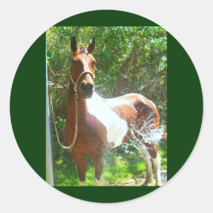 Pegatina Redonda Paint Bath