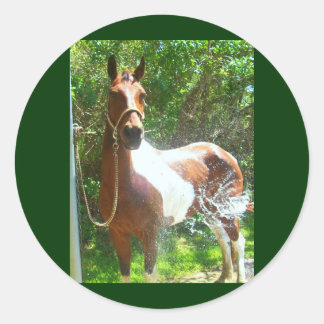 Pegatina Redonda Paint Bath