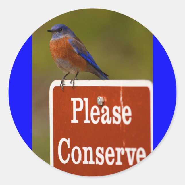 Pegatina Redonda pájaro (Anverso)