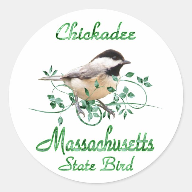 Pegatina Redonda Pájaro estatal de Chickadee Massachusetts (Anverso)