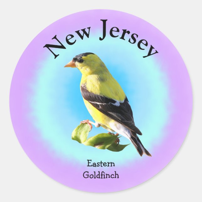 Pegatina Redonda Pájaro estatal de Nueva Jersey (Anverso)