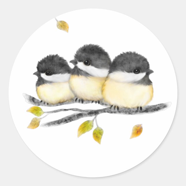 Pegatina Redonda Pájaro pequeño 3 pollos en rama de árbol (Anverso)