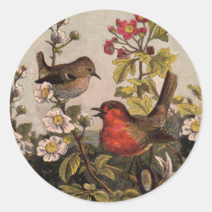 Pegatina Redonda Pájaros Cantores Robin Botánico Floral Vintage