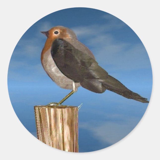 PEGATINA REDONDA PÁJAROS HIPPER / MAMA ROBINA ROJA (Anverso)