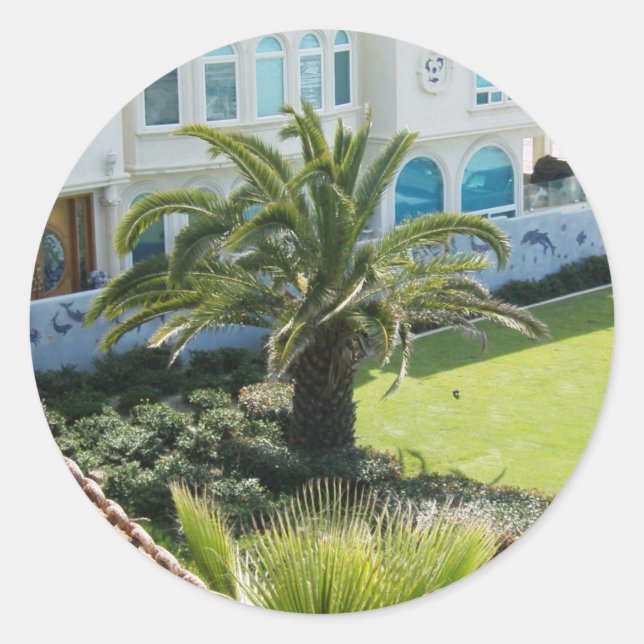 Pegatina Redonda Palm At Oceanside Ca (Anverso)