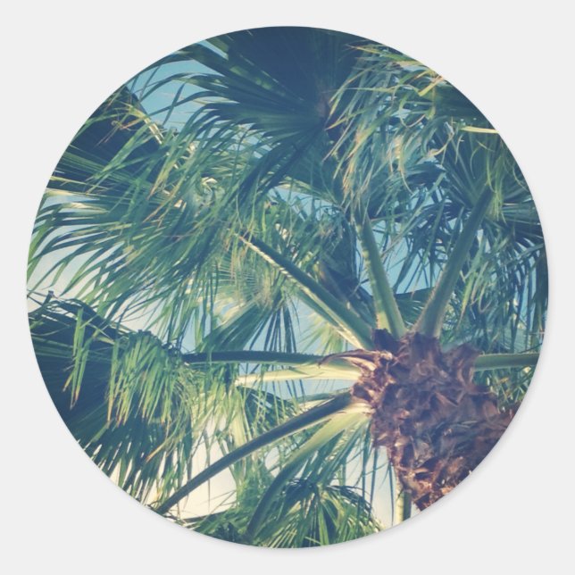 Pegatina Redonda Palm Fronds (Anverso)