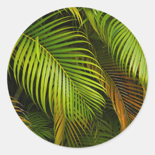 Pegatina Redonda Palm Tree deja a Summer Beach Boda tropical
