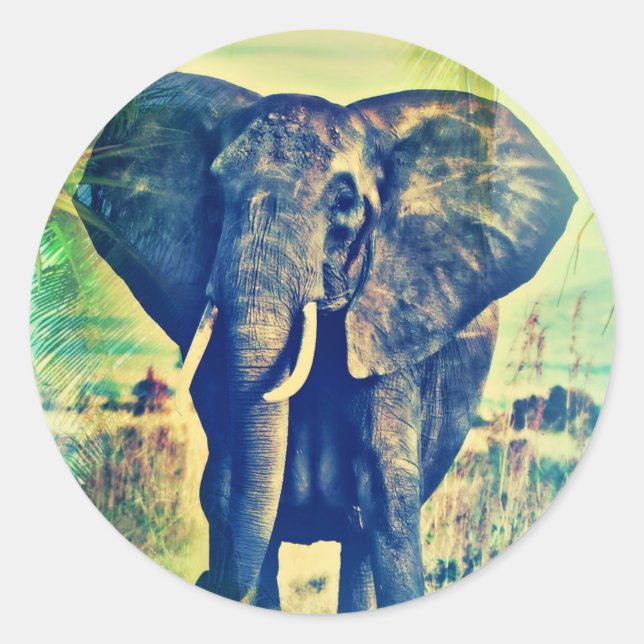 Pegatina Redonda Palmas elefantes (Anverso)