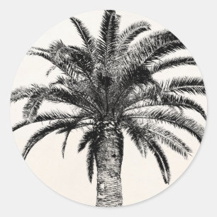 Pegatina Redonda Palmera tropical retra de la isla en blanco y