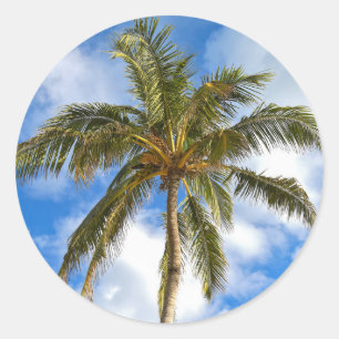 Pegatina Redonda palmera tropical y cielo