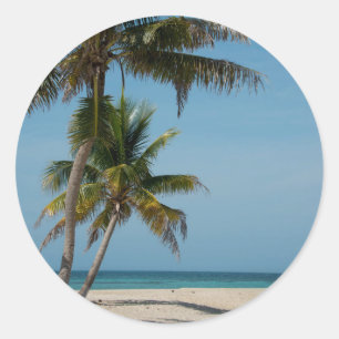Pegatina Redonda Palmera y playa de arena blanca