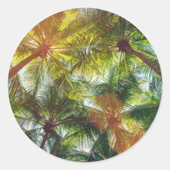 Pegatina Redonda Palmeras de coco en la playa (Anverso)