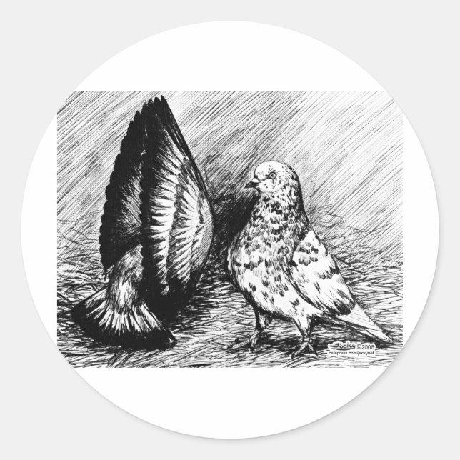 Pegatina Redonda Palomas de Roller (Anverso)