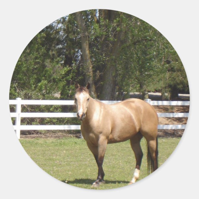 Pegatina Redonda Palos de caballo (Anverso)