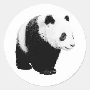 Pegatina Redonda Panda blanco y negro