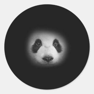 Pegatina Redonda Panda Cara De Oso Para Los Amantes De Los Animales