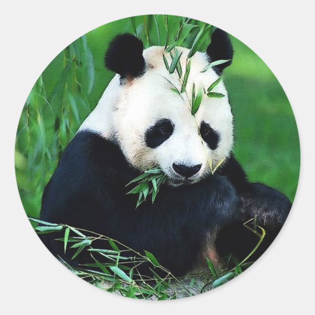 Pegatina Redonda Panda Eating Leaves (Anverso)