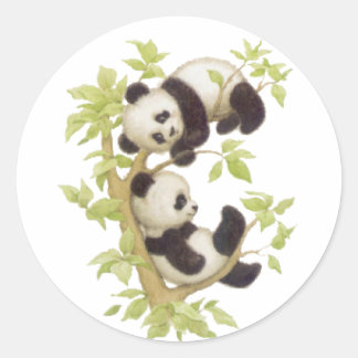 Pegatina Redonda Pandas jugando en un árbol
