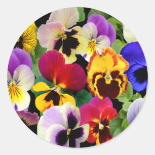 Pegatina Redonda Pansy Patchwork